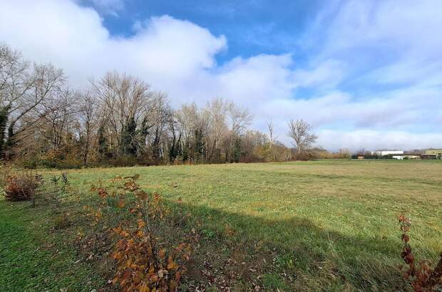 Haus mit Garten kaufen in 2485 Wimpassing (Bild 5)