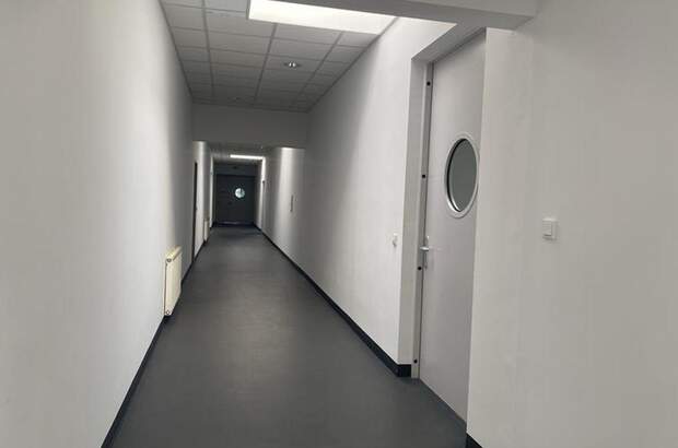 Gewerbeobjekt mieten in 1230 Wien (Bild 5)