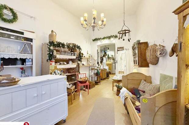 Gewerbeobjekt mieten in 2340 Mödling (Bild 2)