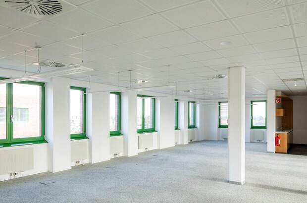 Gewerbeobjekt mieten in 1220 Wien (Bild 5)