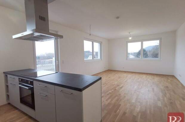 Terrassenwohnung mieten in 3400 Klosterneuburg (Bild 1)