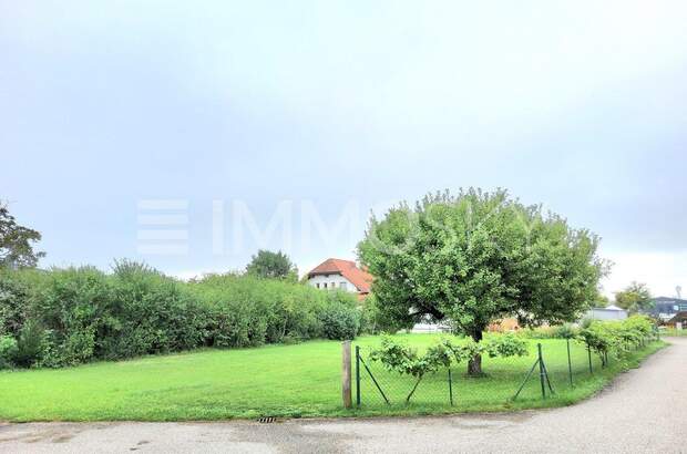 Grundstück kaufen in 4614 Marchtrenk (Bild 3)