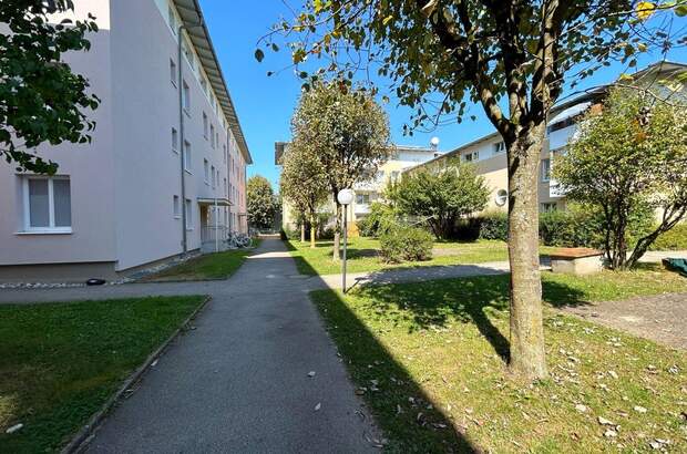 Mietwohnung in 4690 Schwanenstadt (Bild 1)
