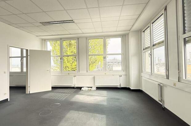 Gewerbeobjekt mieten in 2320 Schwechat (Bild 1)
