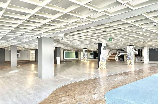 Gewerbeobjekt mieten in 4020 Linz (Bild 3)