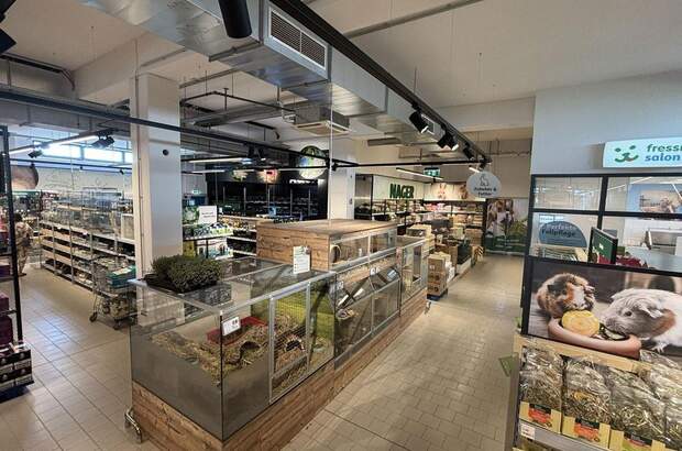 Anlageobjekt kaufen in 5073 Wals (Bild 5)