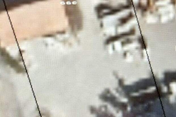 Grundstück kaufen in 3425 Langenlebarn (Bild 2)