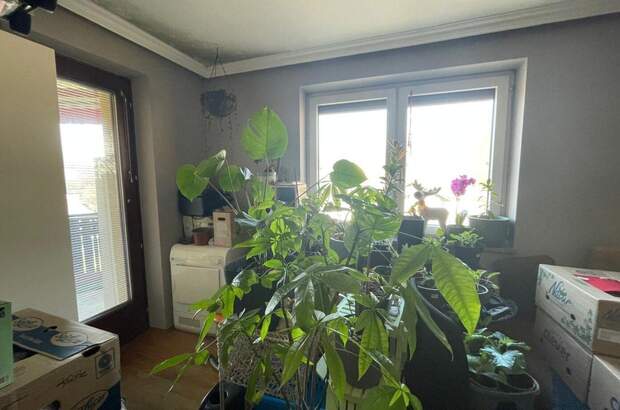 Wohnung mit Balkon mieten in 8650 Kindberg (Bild 5)