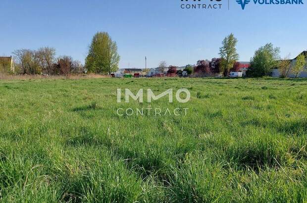 Gewerbeobjekt mieten in 3500 Krems (Bild 2)