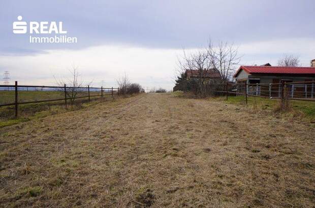 Grundstück kaufen in 2100 Stetten (Bild 3)