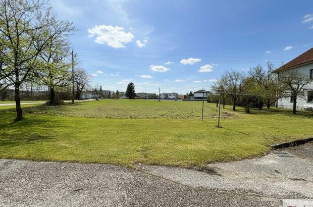 Grundstück kaufen in 4614 Marchtrenk (Bild 2)