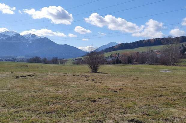 Grundstück kaufen in 8793 Trofaiach (Bild 5)