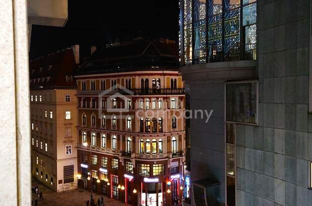 Gewerbeobjekt mieten in 1010 Wien (Bild 2)