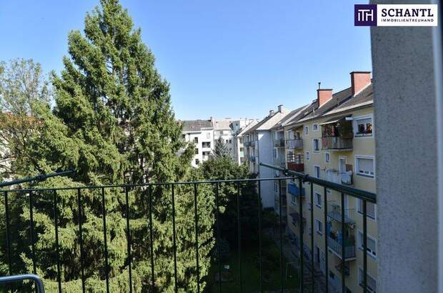 Terrassenwohnung mieten in 8010 Graz (Bild 2)