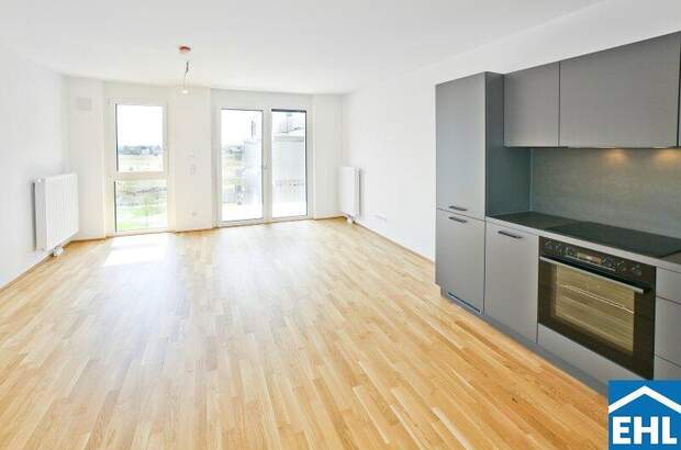 Terrassenwohnung mieten in 1220 Wien (Bild 1)