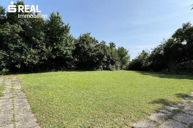 Grundstück kaufen in 7100 Neusiedl (Bild 2)