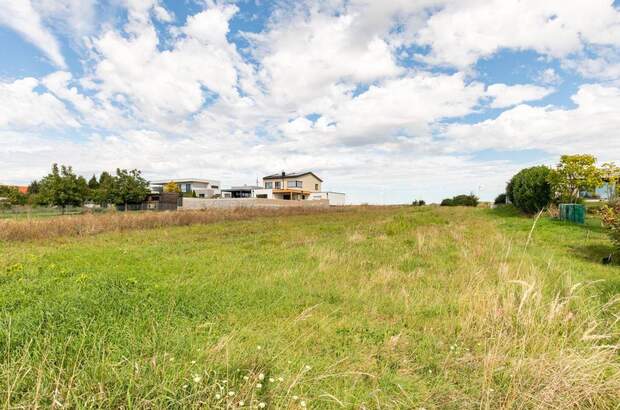 Grundstück kaufen in 7100 Neusiedl (Bild 1)