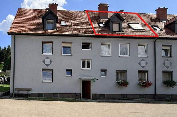 Altbauwohnung kaufen in 8712 Niklasdorf (Bild 1)