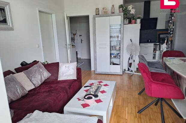 Wohnung mieten in 4560 Kirchdorf (Bild 3)