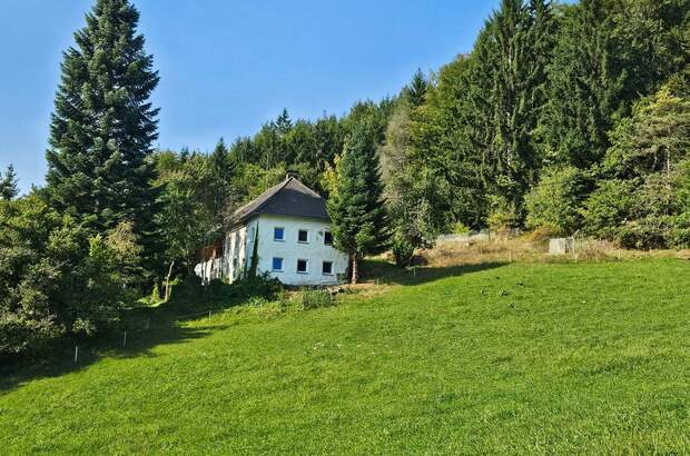 Haus kaufen in 4273 Unterweißenbach