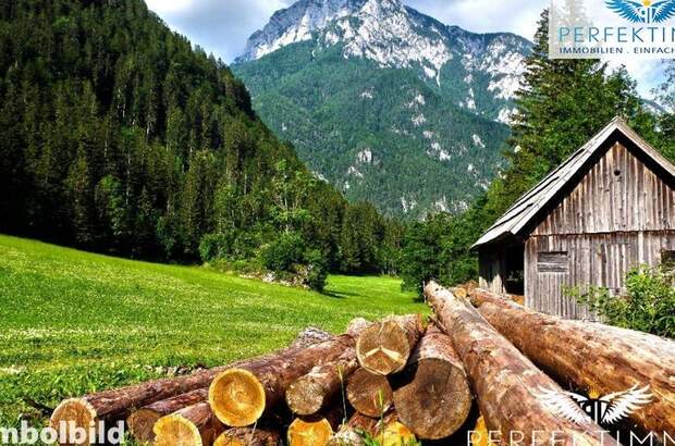 Gewerbeobjekt kaufen in 6471 Arzl (Bild 1)