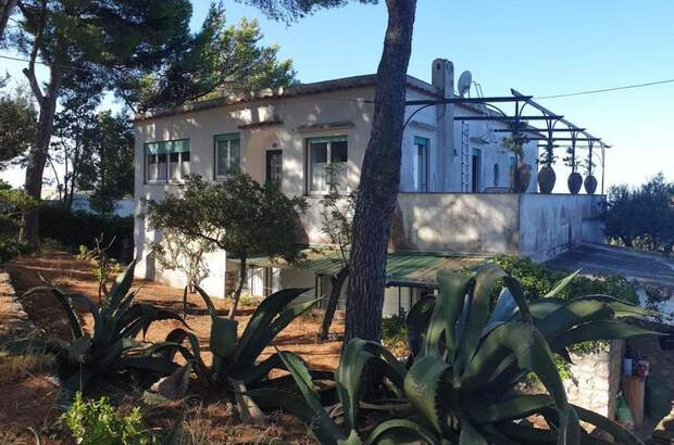 Haus kaufen in 80071 Anacapri NA (Bild 2)