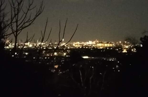 Einfamilienhaus kaufen in 1190 Wien (Bild 3)