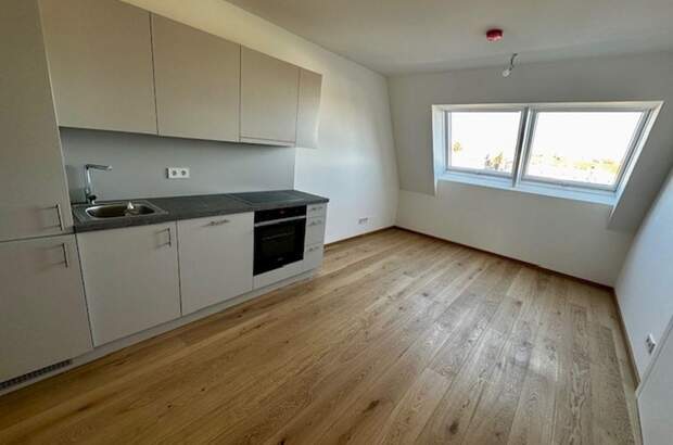 Wohnung mieten in 1130 Wien (Bild 3)