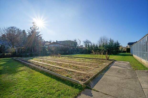 Grundstück kaufen in 3434 Katzelsdorf (Bild 5)