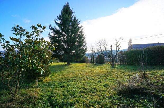 Grundstück kaufen in 3003 Gablitz (Bild 5)