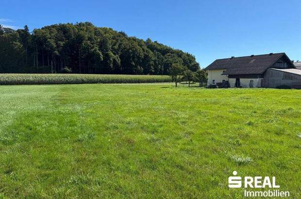 Grundstück kaufen in 5133 Gilgenberg (Bild 4)