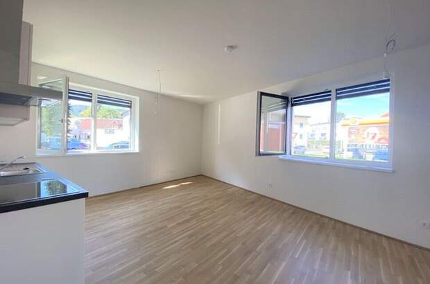 Wohnung mieten in 8020 Graz (Bild 1)