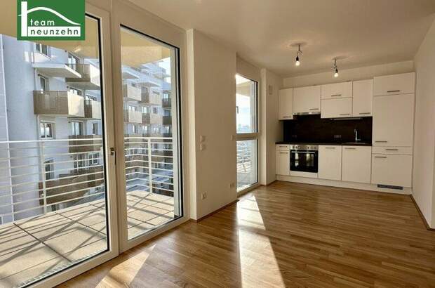 Terrassenwohnung mieten in 1220 Wien (Bild 1)