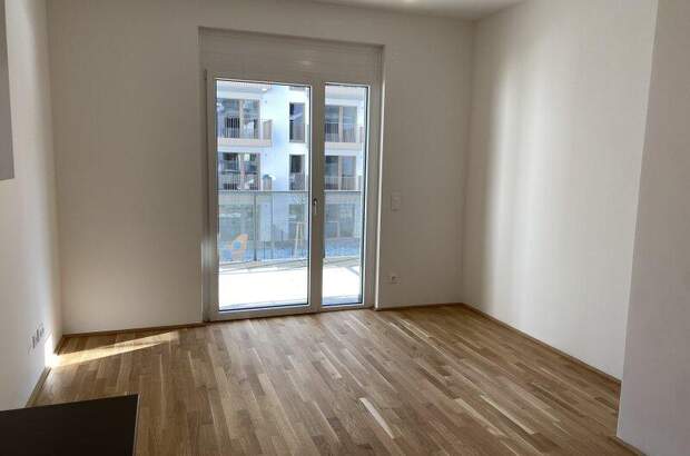 Terrassenwohnung mieten in 1220 Wien (Bild 3)