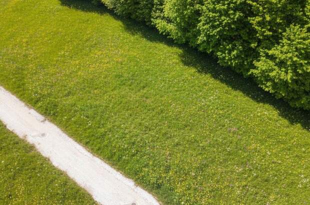 Grundstück kaufen in 4645 Grünau (Bild 2)