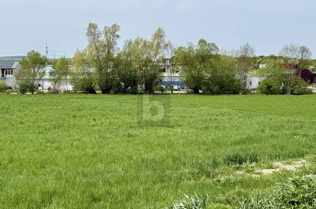 Grundstück kaufen in 7032 Sigleß (Bild 2)