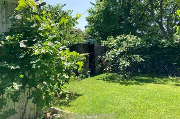 Einfamilienhaus kaufen in 1230 Wien (Bild 5)