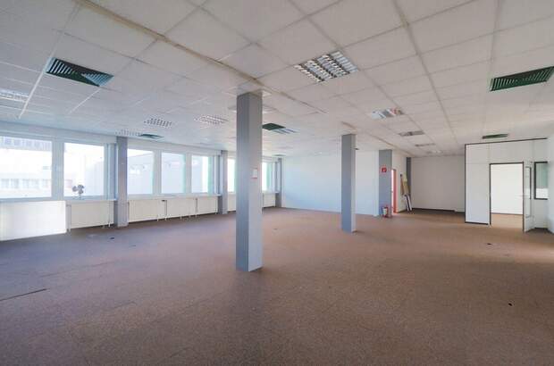 Gewerbeobjekt mieten in 2331 Vösendorf (Bild 2)