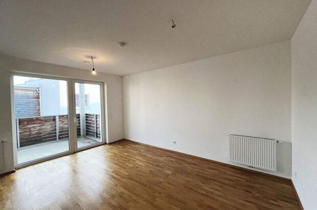 Terrassenwohnung mieten in 3140 Pottenbrunn (Bild 1)