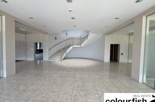 Gewerbeobjekt mieten in 1230 Wien (Bild 3)