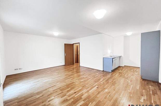 Terrassenwohnung kaufen in 1020 Wien (Bild 4)