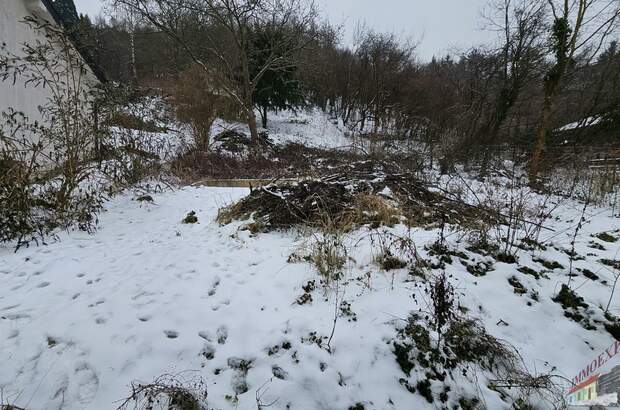 Grundstück kaufen in 3424 Wolfpassing (Bild 5)