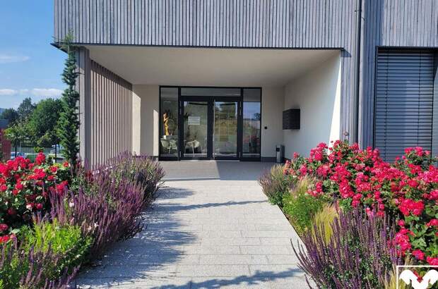 Gewerbeobjekt mieten in 4540 Bad Hall (Bild 5)