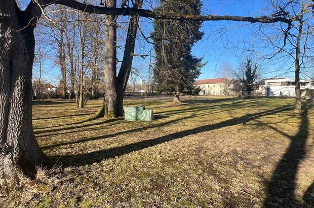 Grundstück kaufen in 4690 Schwanenstadt (Bild 3)