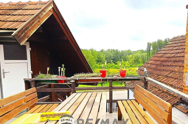 Einfamilienhaus kaufen in 3506 Hollenburg (Bild 2)