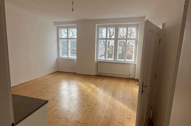 Altbauwohnung mieten in 1190 Wien (Bild 1)