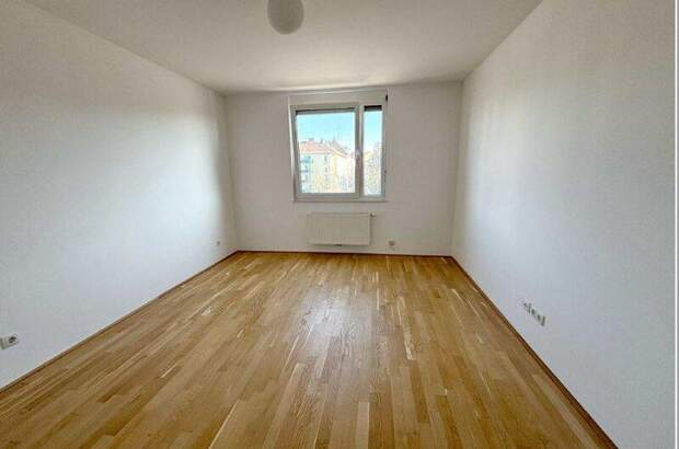 Büro / Praxis mieten in 1130 Wien (Bild 3)
