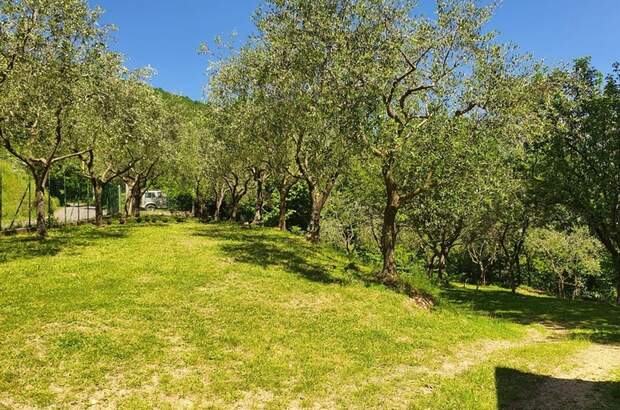 Haus kaufen in 54016 Ripola (Bild 5)