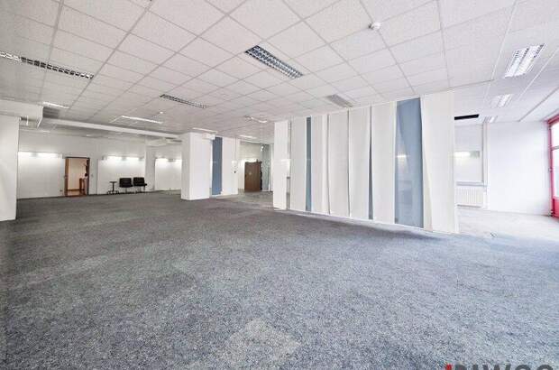 Einzelhandel mieten in 2351 Wr. Neudorf (Bild 5)