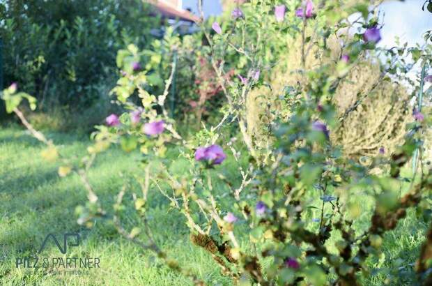 Grundstück kaufen in 5421 Adnet (Bild 2)